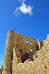 Ruins of the feudal castle