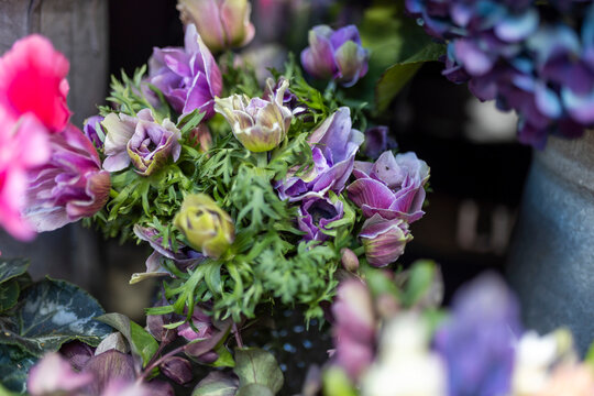 Purple ranunculus and pink cyclamen flowers in a beautiful, rich bouquet.