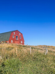 Obraz premium Red Barn on Hilltop Under Clear Blue Sky in Rural Countryside Landscape Sunlit Farming Terrain