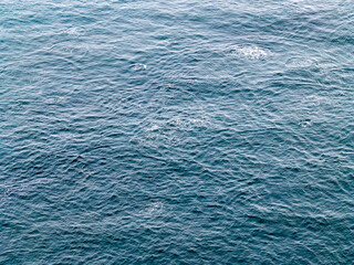 Aerial view of common dolphins feeding above huge dragnet in Donegal Bay, Ireland