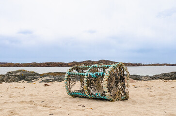 Old lobster pot on a sandy beach with seaweed and rocks, captured on the Isle of Mull, Scotland. Calm coastal scene under cloudy skies.