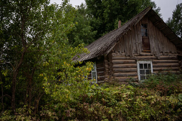 Fototapeta premium Rustic Log Cabin Surrounded by Dense Foliage