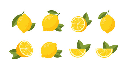 Collection of fresh lemon with leaves in flat style on white background