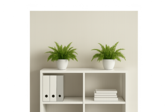 Minimalist bookshelf with green potted plants, binders, and books, clean office decor on transparent background