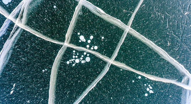Close-up microscopy image reveals fungal hyphae with spores, displaying intricate mycelium network in detailed biological study.