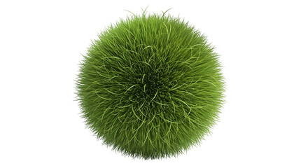 A Spherical Ball of Lush Green Grass with Dew Drops on a Black Background