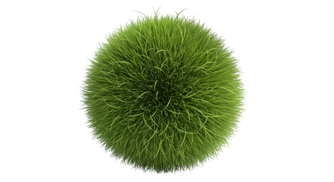 A Spherical Ball of Lush Green Grass with Dew Drops on a Black Background