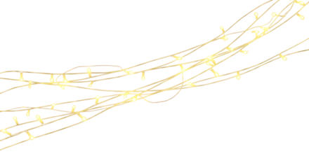 String of Warm Yellow LED Lights Winding on Black Background string lights isolated on a transparent background