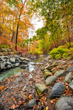 River running through forested ravine