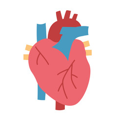 human heart organ; concept of medicine, health, biology, and human anatomy, perfect for medical and educational designs- vector illustration
