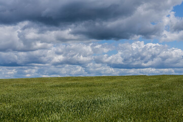 Dark rain cloud over a green field, Nowiny, Poland