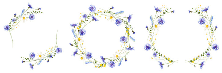 Watercolor painted floral round wreath frame set. Meadow blue cornflowers, yellow wild flowers, chamomiles, green branches, leaves. Hand drawn style illustration. Artistic template design.