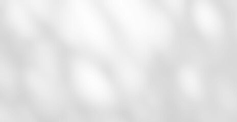 Shadow of leaves tree plant overlay on white wall. Sunlight effect shadow on the wall. Minimal...