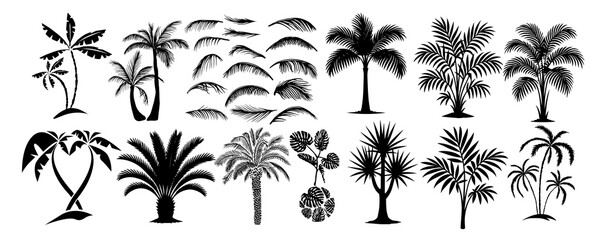 Set of palm tree silhouettes and palm leaves. Hand drawn. Not AI, vector illustration.