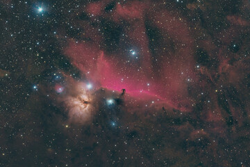 オリオン座の馬頭星雲