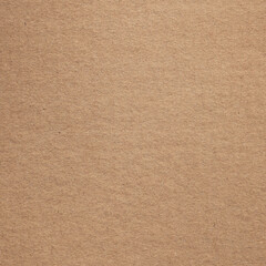 Brown grunge paper with bump texture