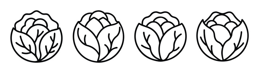 Illustration of four cabbage sprouts vector art, cabbage seedling drawing, cabbage outline design, vector
