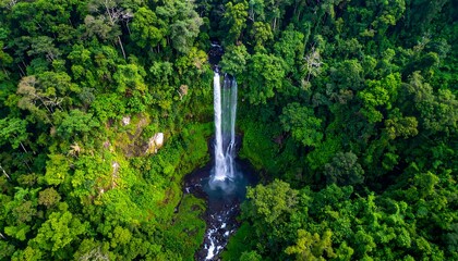 Lush green jungle surrounds a tall, slender waterfall cascading into a dark pool with a stream exiting
