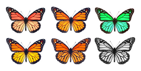 set of monarch butterflies. multicolored colorful monarch butterflies isolated on transparent background