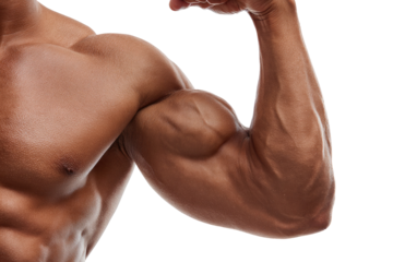 Close-up of muscular arm flexed