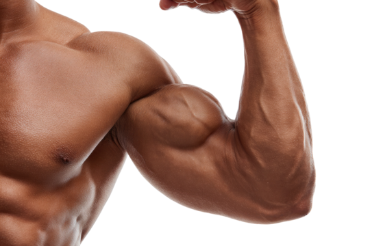 Close-up of muscular arm flexed