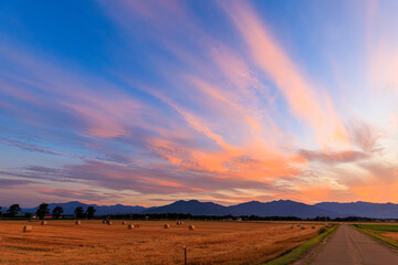 Fototapety na wymiar - Fototapeta24.pl