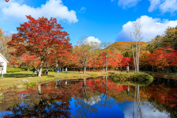 北海道の紅葉