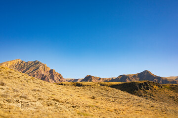 A mountain range is visible in the distance with a clear blue sky above. The scene is peaceful and serene, with the mountains providing a sense of grandeur and the sky offering a sense of openness