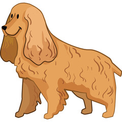 Illustration of a happy tan Cocker Spaniel dog standing profile view on a transparent background...