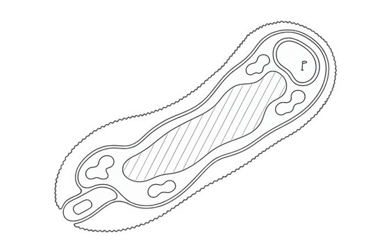 Golf course hole layout vector illustration showing fairway, green, sand traps, and tee box