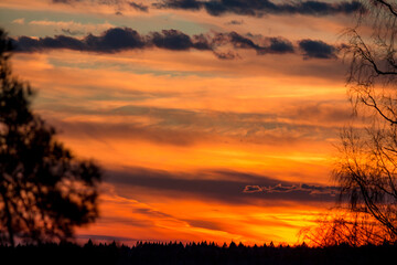 Vibrant, blazing sunset transforms the sky into a canvas of oranges and reds. Dynamic cloud streaks and a serene forest silhouette complete this natural wonder