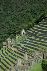 Ancient Agricultural Terraces (Andenes) of Machu Picchu &mdash; Cusco, Peru