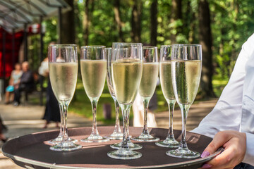 Celebratory drinks served on a tray during outdoor gathering in sunny park surrounded by trees