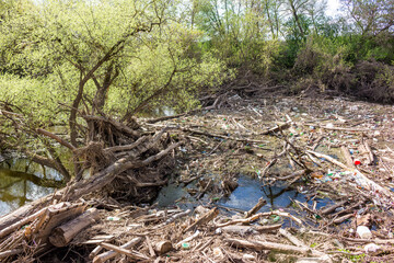 Obraz premium Plastic bottles and assorted rubbish overwhelm a shallow waterway, mixing with natural debris. A stark scene of environmental neglect