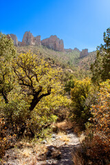 Mountain trail view along Pine Canyon Trail in Big Bend National Park, Texas, USA