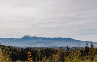 Autumn mountains with forest in fog and clouds