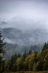 Autumn mountains with forest in fog and clouds