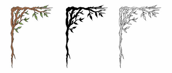 Elegant botanical corner frame, vector illustration