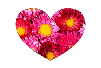 beautiful pink flowers in the shape of a heart