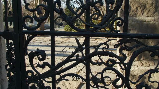Intricate Ironwork - A Glimpse Through Ornate Metalwork into the Outdoors.