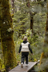 Child walking along a wooden pathway through a peaceful forest in New Zealand, exploring nature