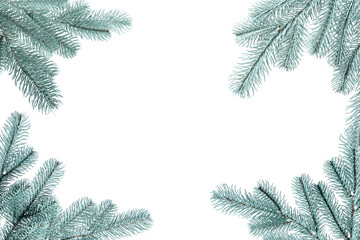 Christmas tree branches isolated on white. Greeting card or poster design