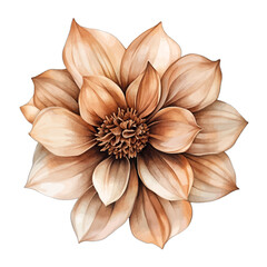 Fototapeta premium Watercolor Beige Brown Dahlia Flower Isolated Vector Illustration 