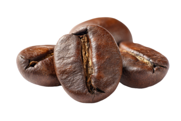 Close-up of three roasted coffee beans