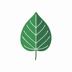 Illustration of a green leaf with white veins on a white background.