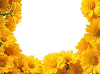 Yellow flower frame on black