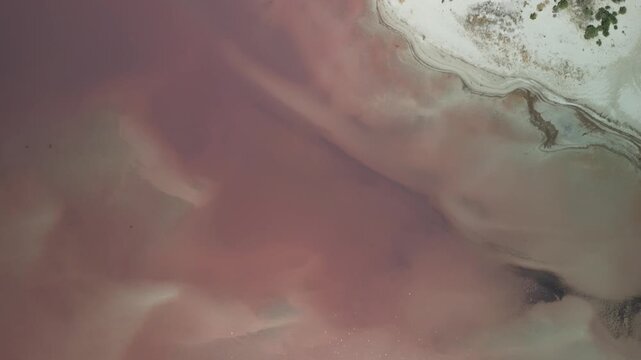 Drone top-down footage captured above the Great Salt Lake near Stansbury Bay, Utah, showing soft pastel pink and green tones blending together in a natural abstract pattern. The surreal color palette.