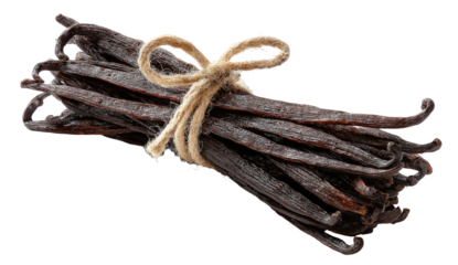 A bunch of dark brown vanilla beans tied with a light beige string