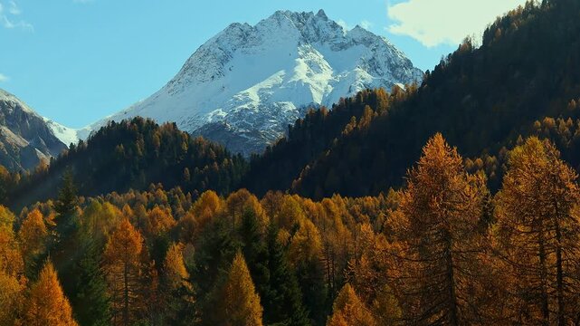 autumn in the swiss engadin valley 4k2 5fps video