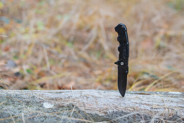 A folding knife standing upright on a log in a forest during autumn season